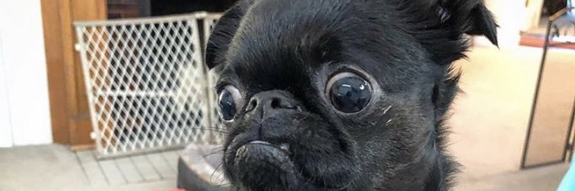 osoito87's profile banner image