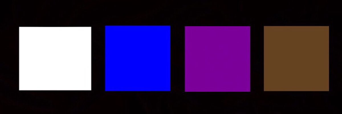 Pedrorizzobjj's profile banner image