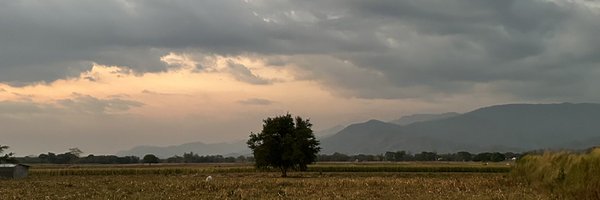 ForrestWard24 Profile Banner