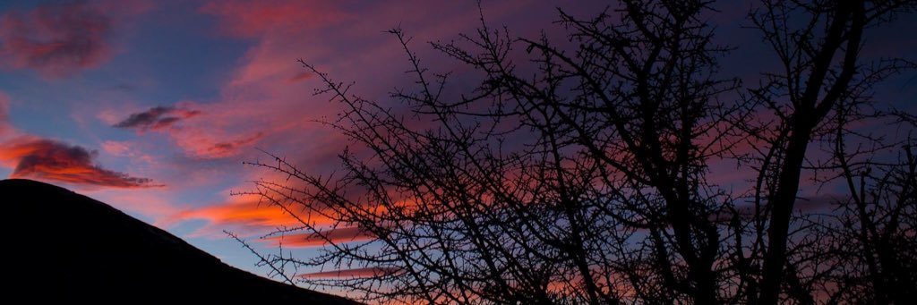 Cristinasafe's profile banner image