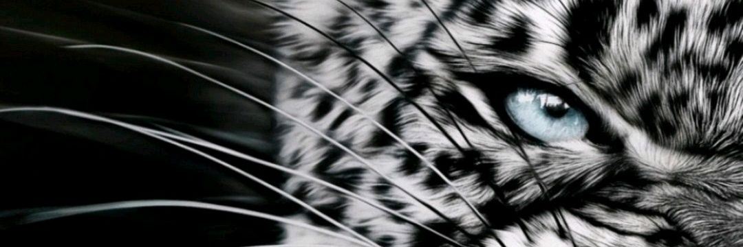 dadan_MT's profile banner image