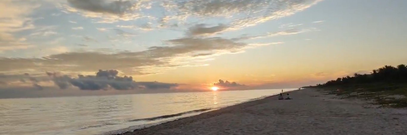 Tomás Martín banner