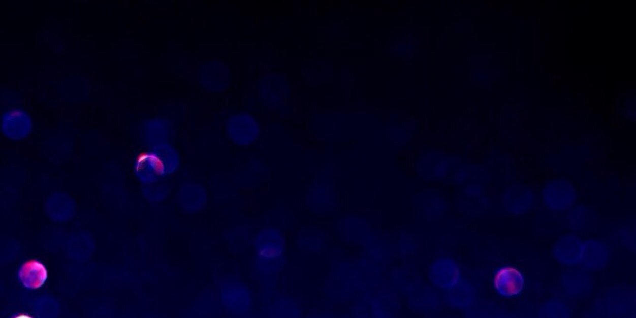 matharu_amit's profile banner image