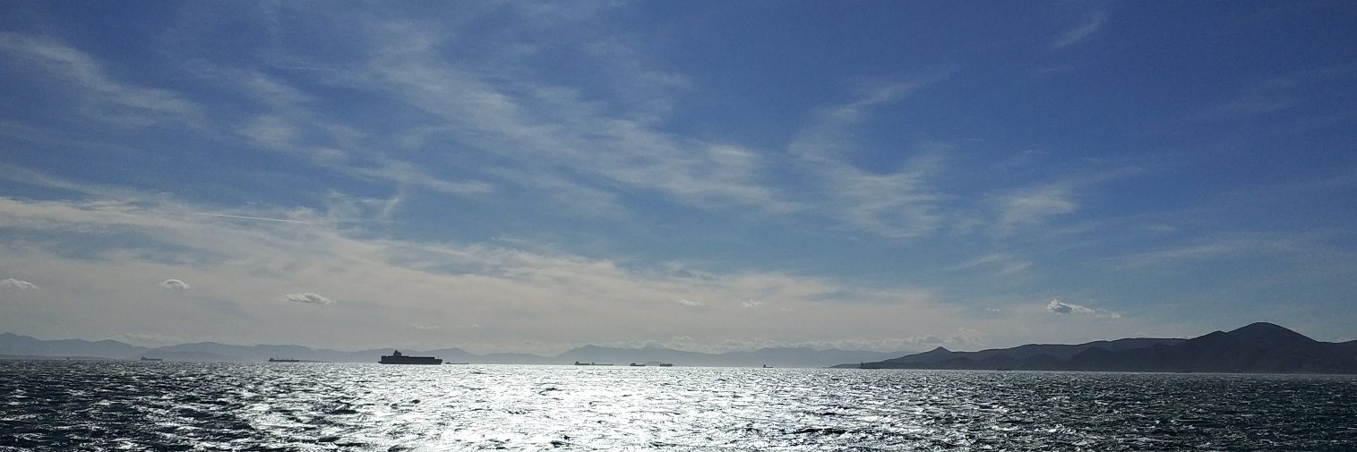 Blue...'s banner