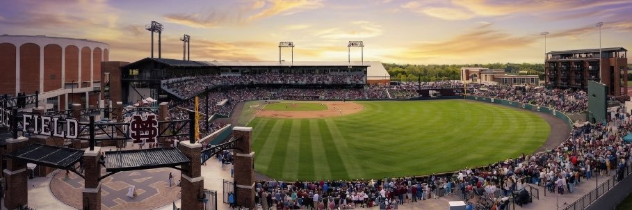 msu🅿️ace banner