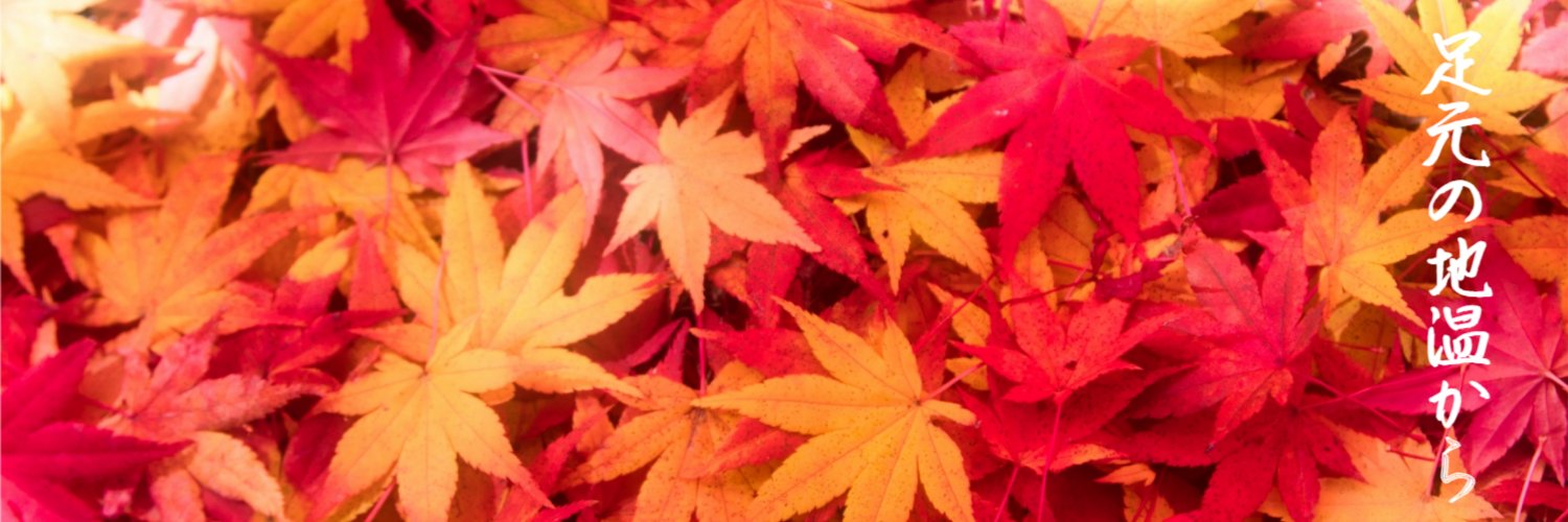 足元の地温から banner