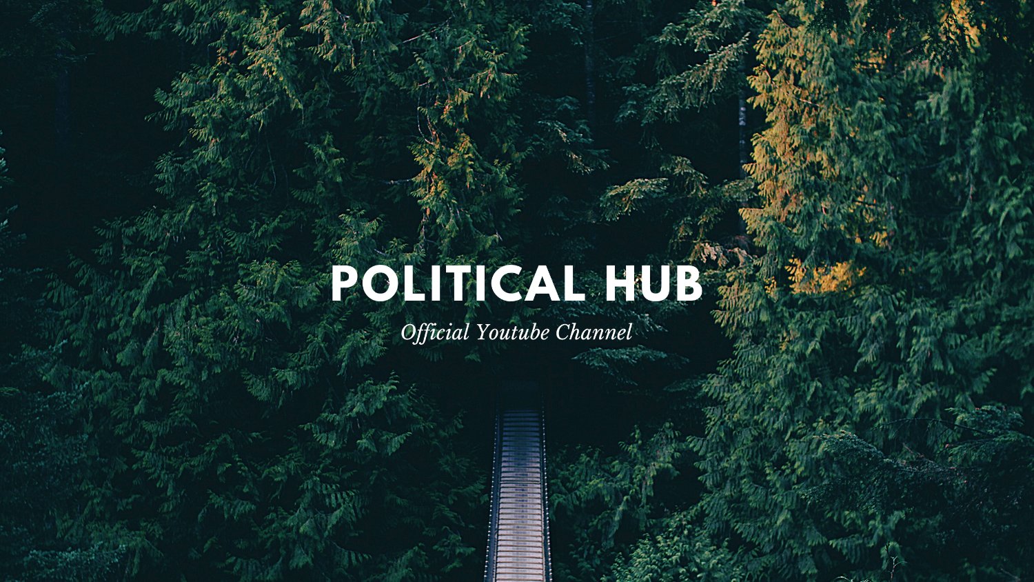 Political Hub banner