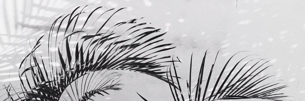 mystxcque's profile banner image