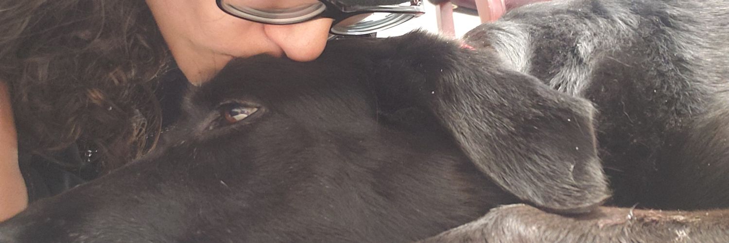 quedottie's profile banner image