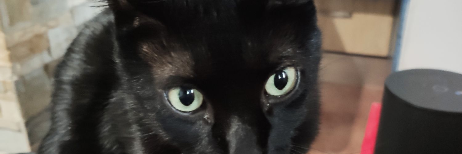 𝕟𝕖𝕧𝕖𝕣𝕞𝕚𝕟𝕕~ banner
