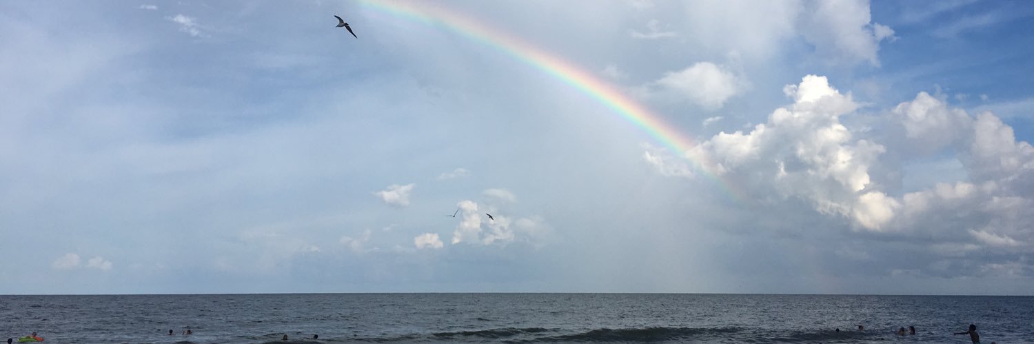 Daphne Rogers banner