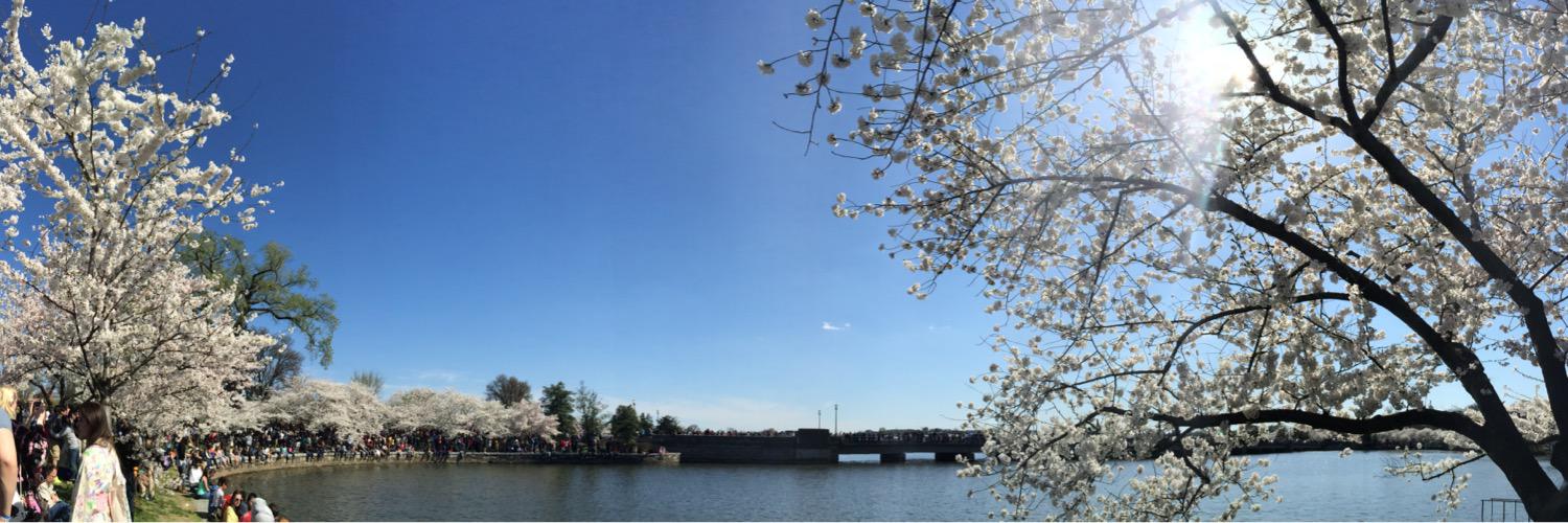 kimbehpk's profile banner image
