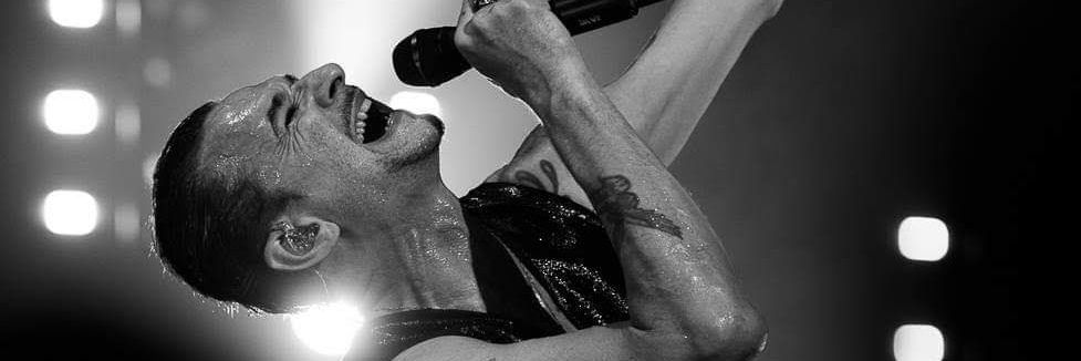 Nev31650320's profile banner image