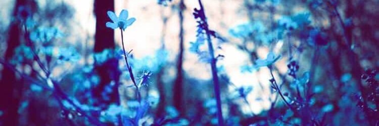 _rwebz's profile banner image