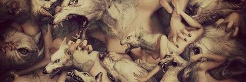 Francisco J Benedito banner