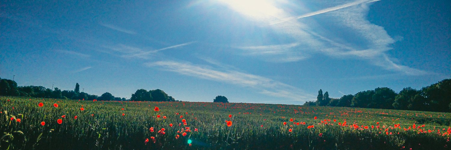 retroharry's profile banner image
