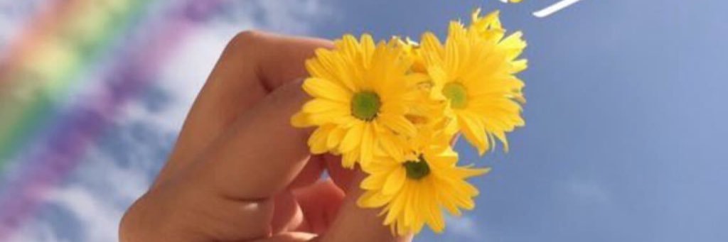 f_f5f's profile banner image