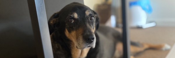 CoachHogan_MLAX Profile Banner