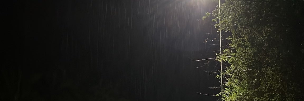 al3on_'s profile banner image