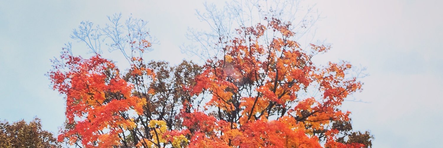 Hannah_W4's profile banner image