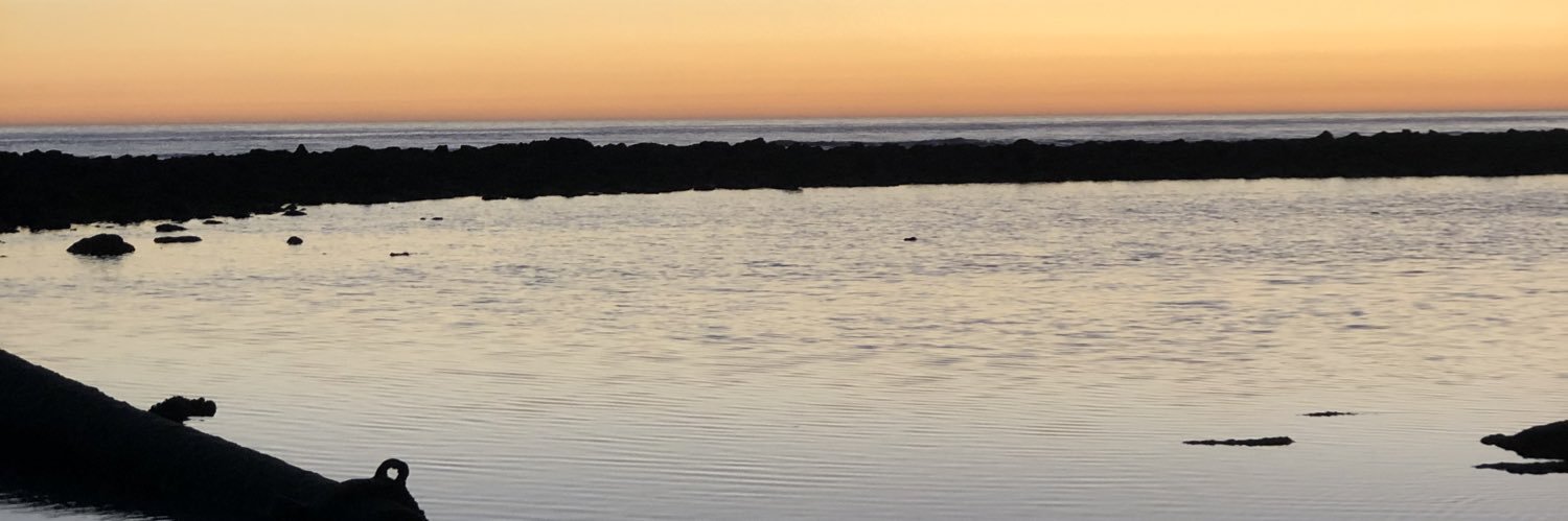 ireeaparicio's profile banner image
