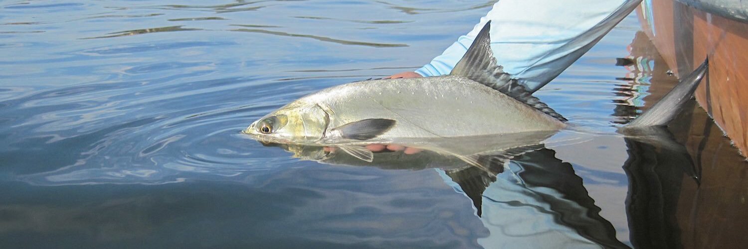 fishytales_za's profile banner image