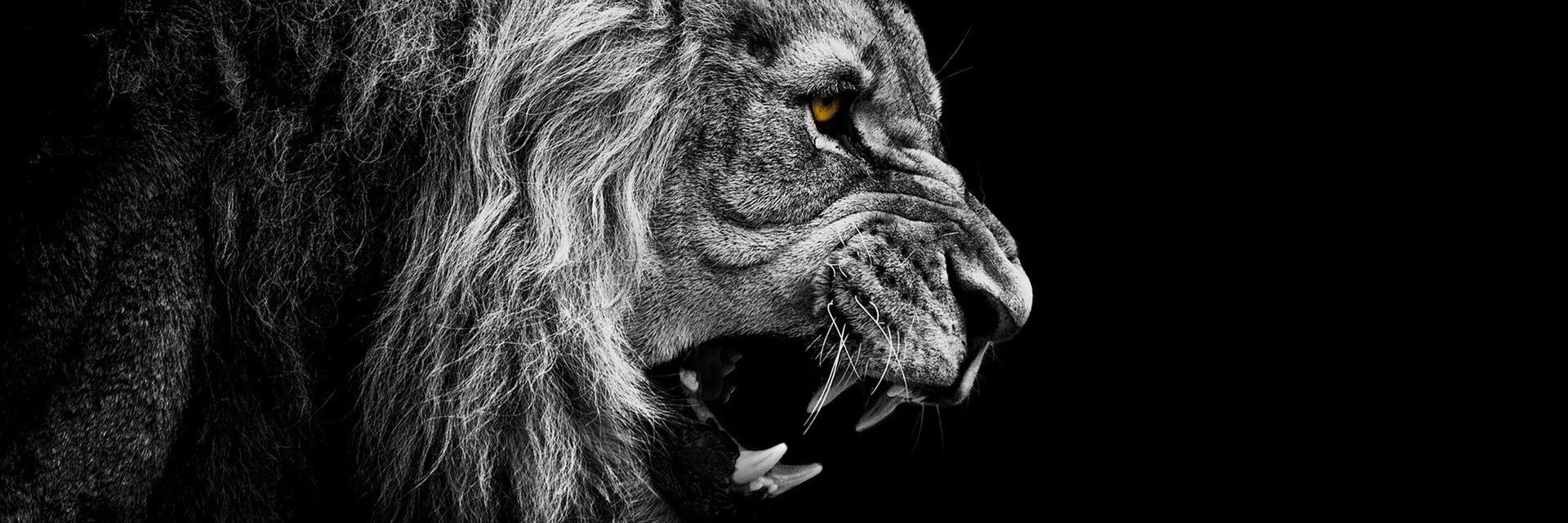 OndraLoucka's profile banner image