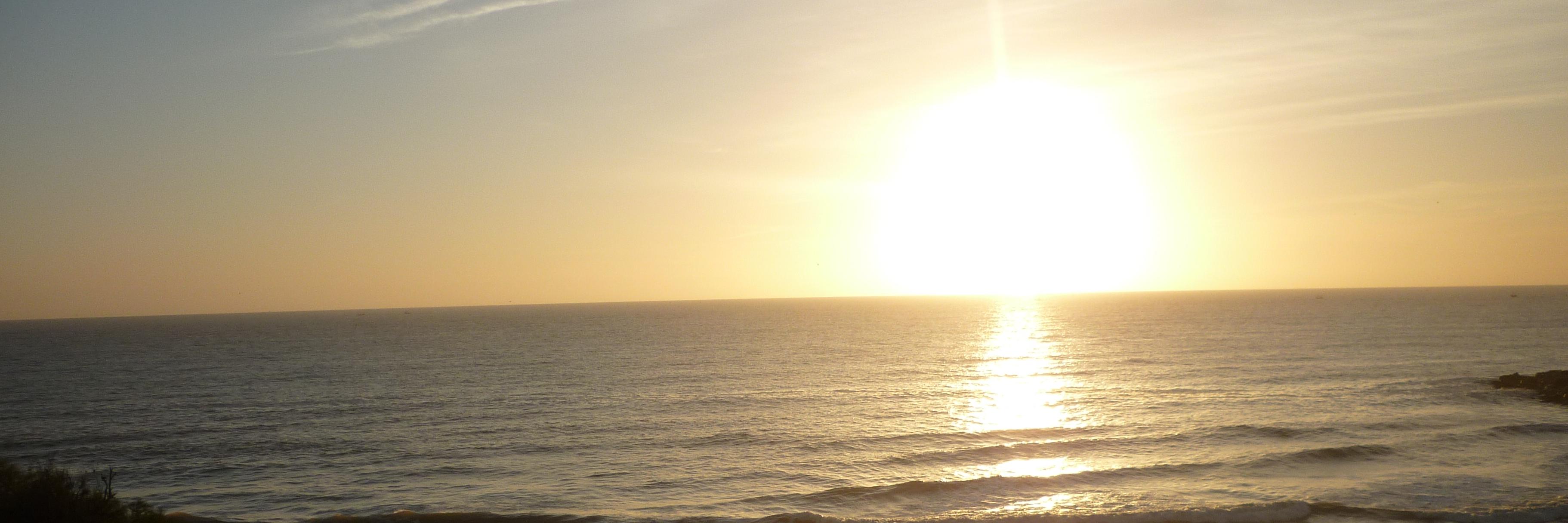 BrennAltimari's profile banner image
