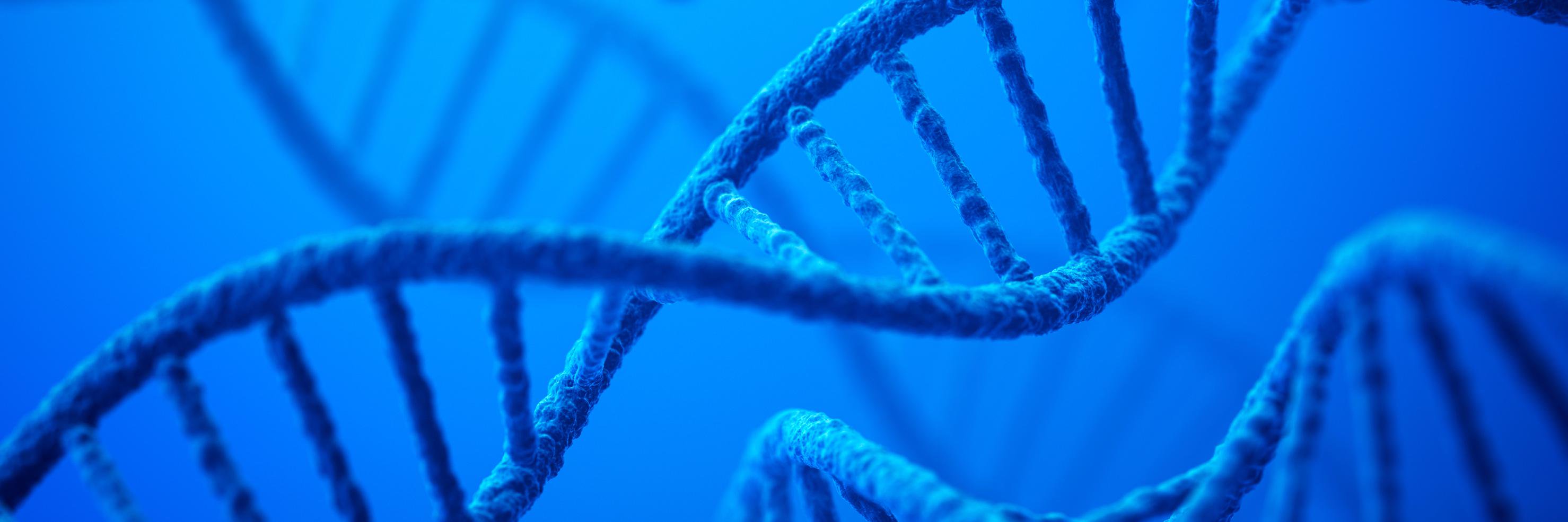 otogenetics's profile banner image
