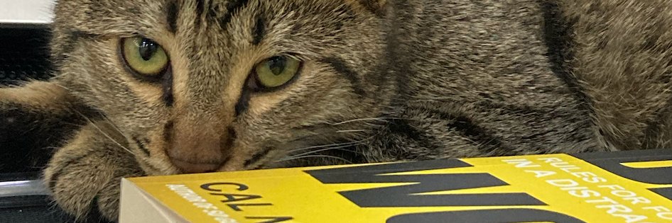 Ali Hesami🇮🇷 banner