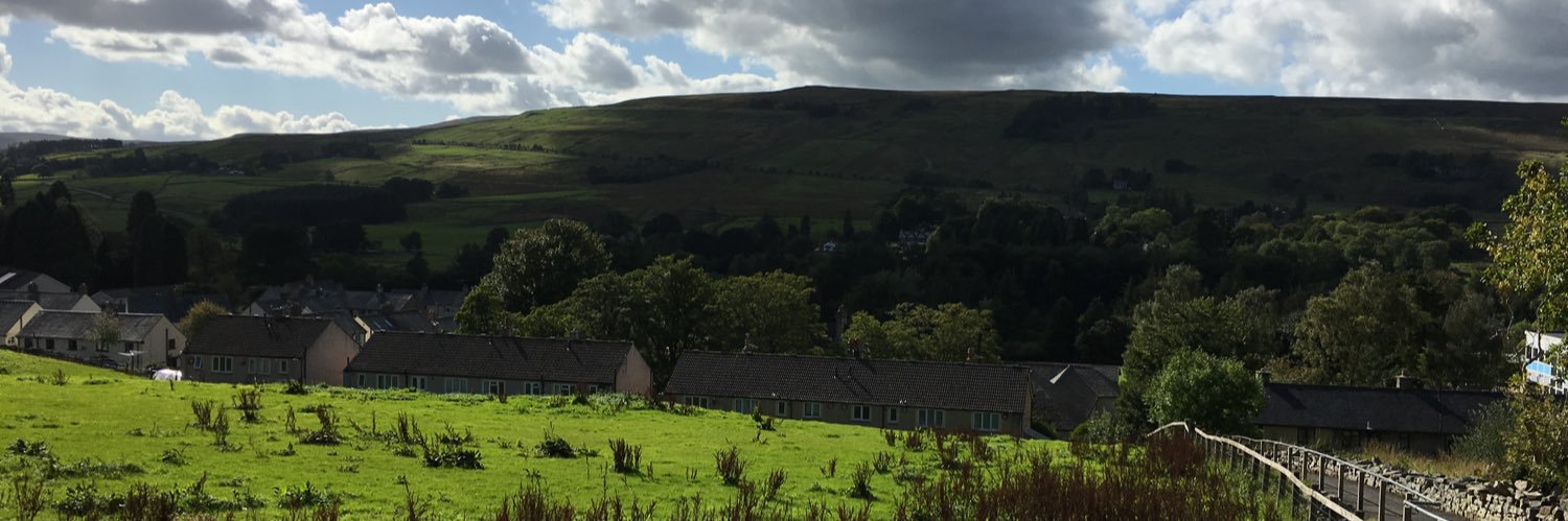 Anthony Mancini banner