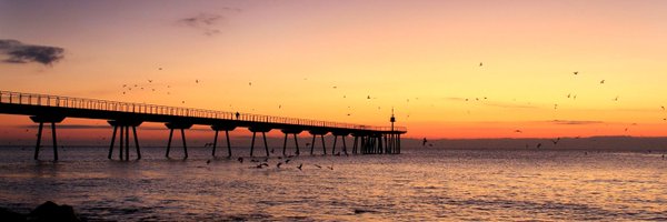 Mirevdg Profile Banner