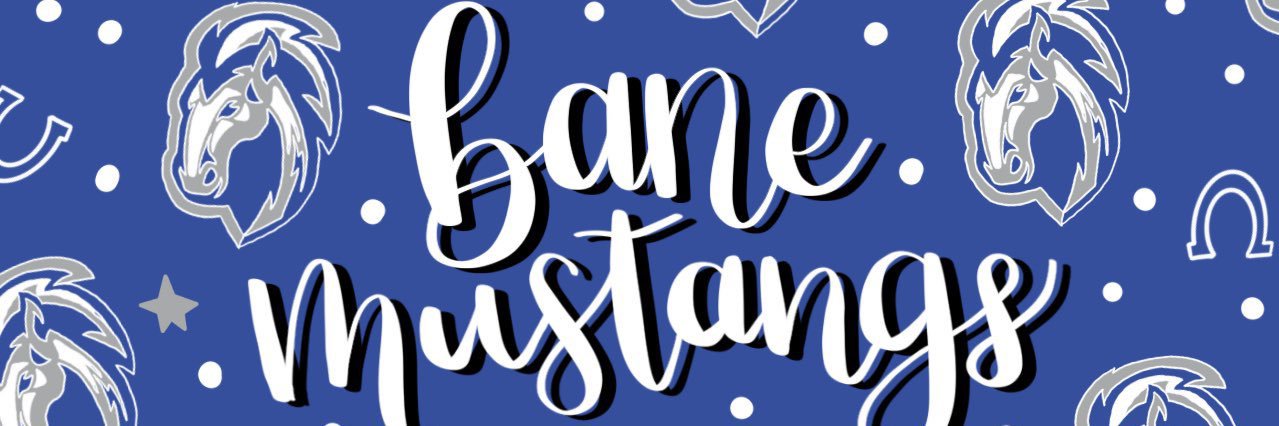 Hailey Reinhardt banner