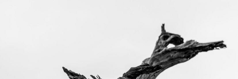 _pheap's profile banner image