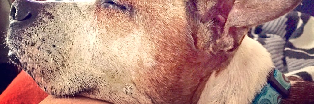HGGolightly's profile banner image