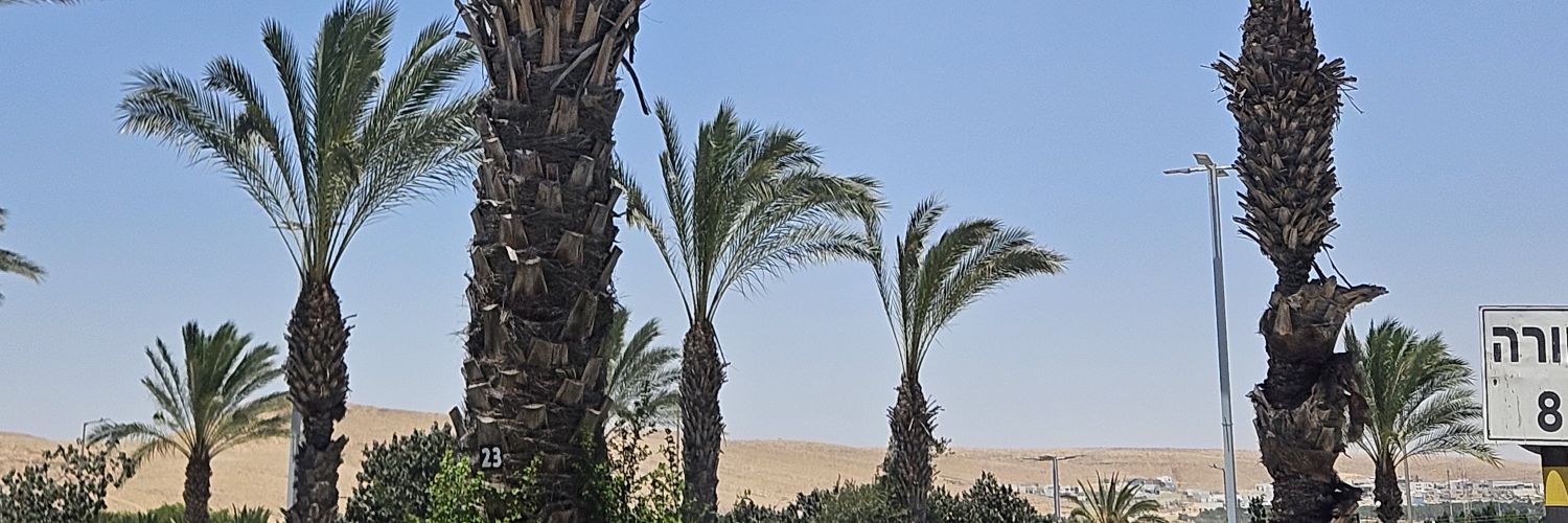 Nomad11:11 banner