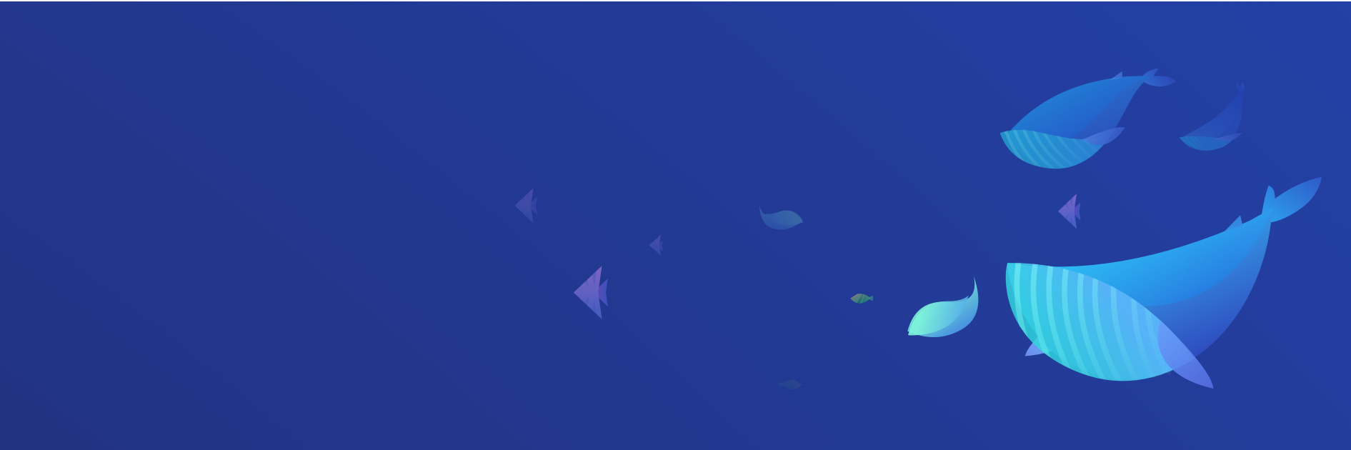 The Ocean banner