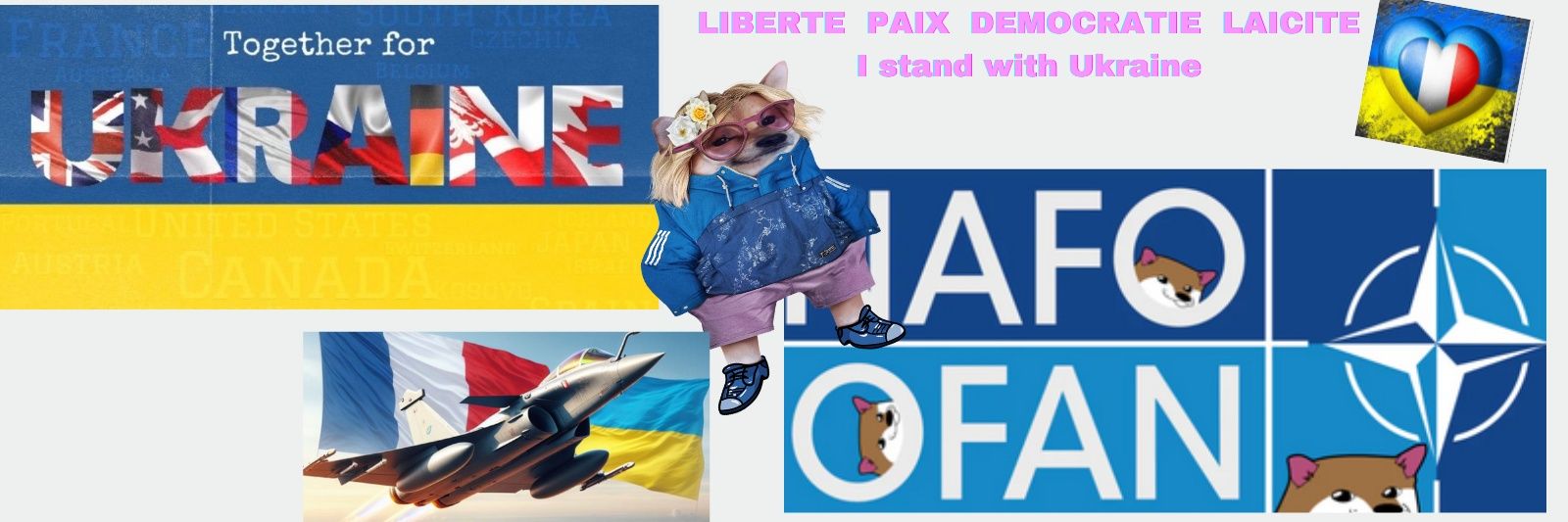 Brif #NAFO 🇪🇺🇺🇦💙💛's banner