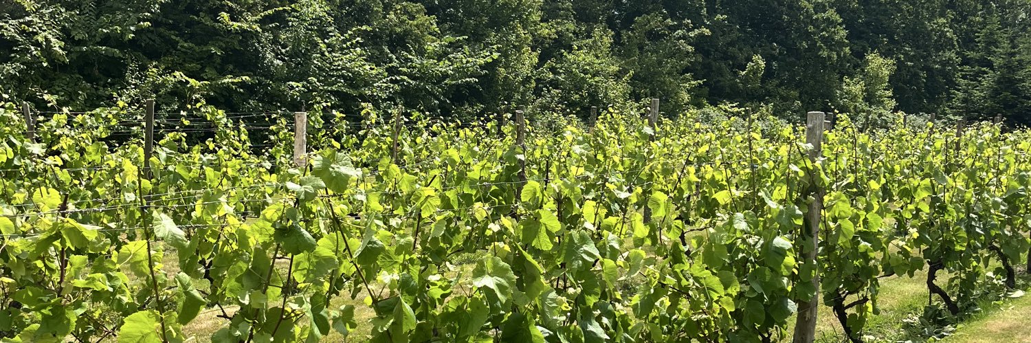 Vingården 67 banner