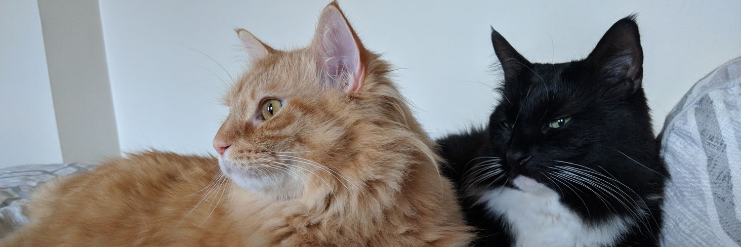 Anna 'May' | May7733 banner