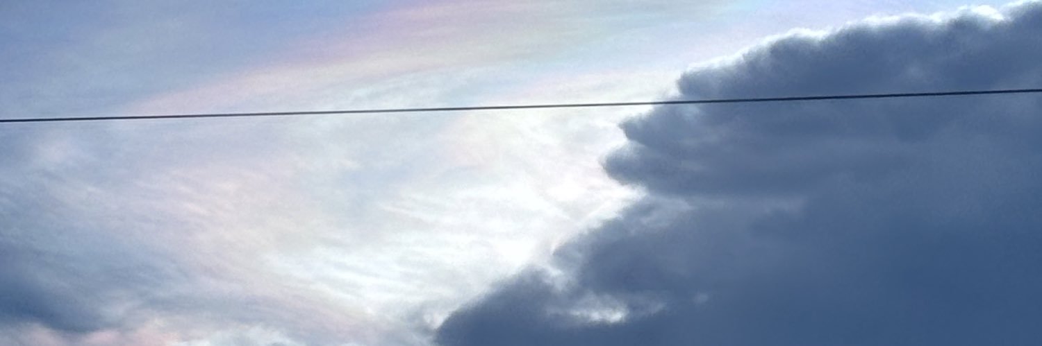 Daiana Ferraro banner