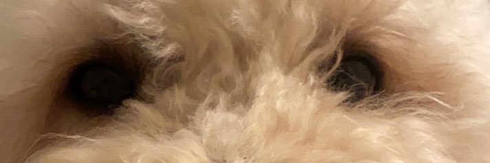 LizzyCudi's profile banner image