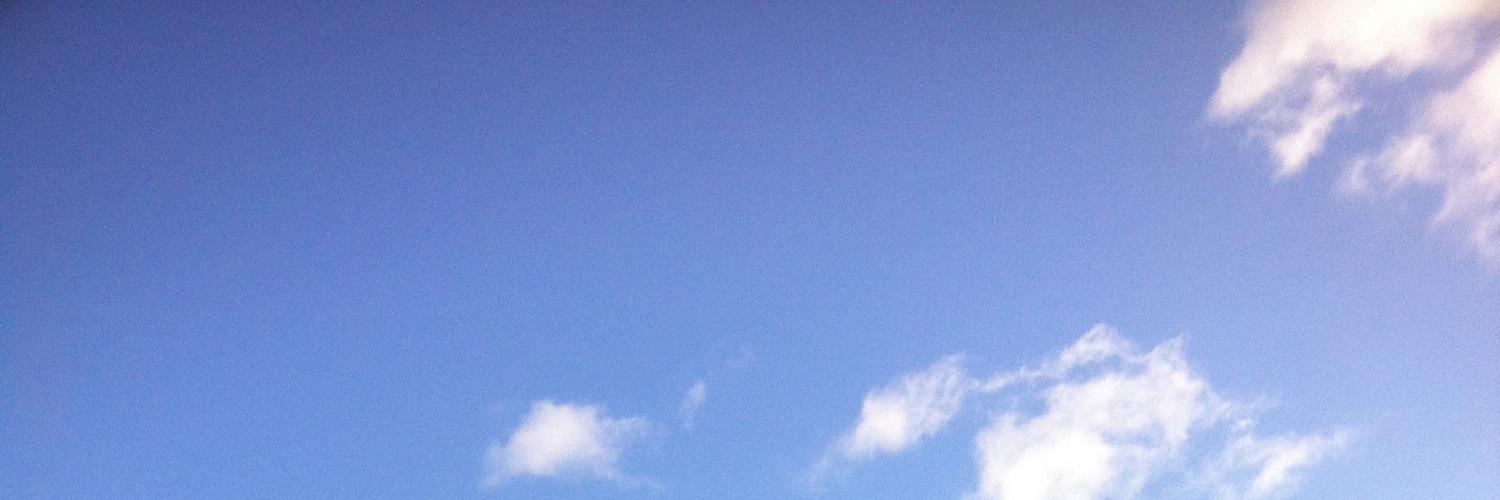 Hector Saracho banner