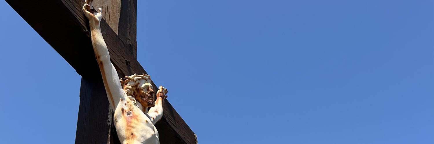 schaaub's profile banner image