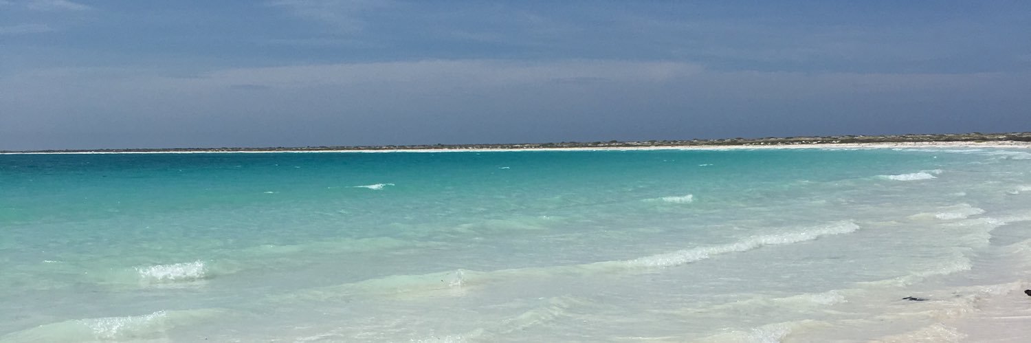 Polo0693's profile banner image