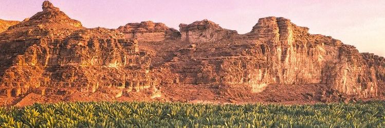 علي الدندن banner