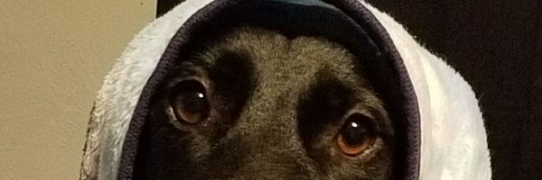 Seedsaver1 Profile Banner