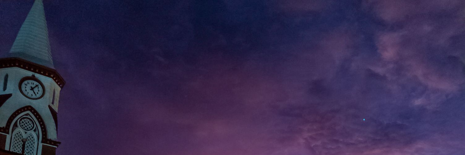 Luis Estevan banner