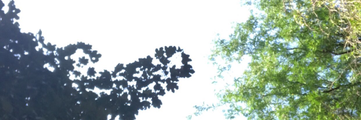 JeronnD's profile banner image