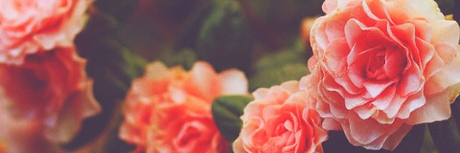 CounselorRowe's profile banner image